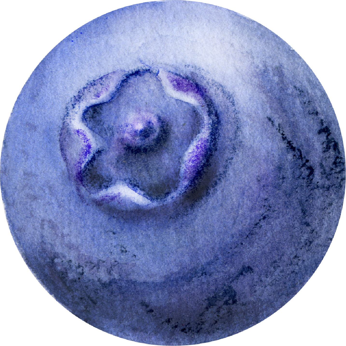 Blueberry icon